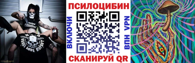 mega   Дедовск  Псилоцибиновые грибы GOLDEN TEACHER 